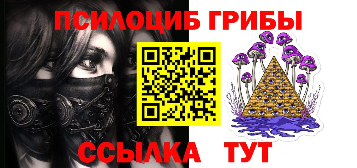Туапсе  Псилоцибиновые грибы GOLDEN TEACHER  Вход с VPN  Псилоцибиновые грибы Psilocybine cubensis 