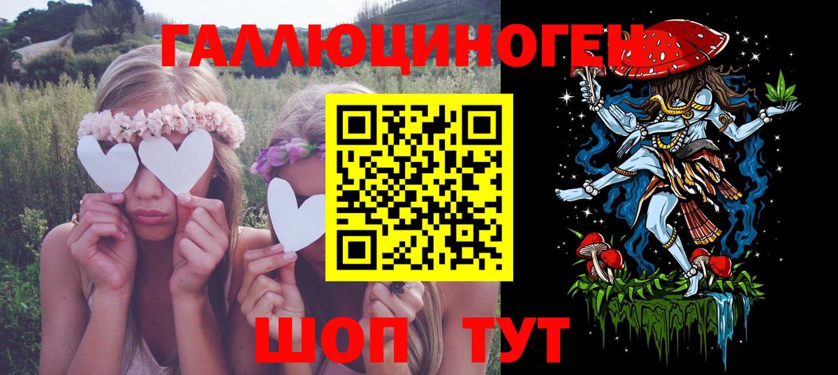 Псилоцибиновые грибы Cubensis Туапсе
